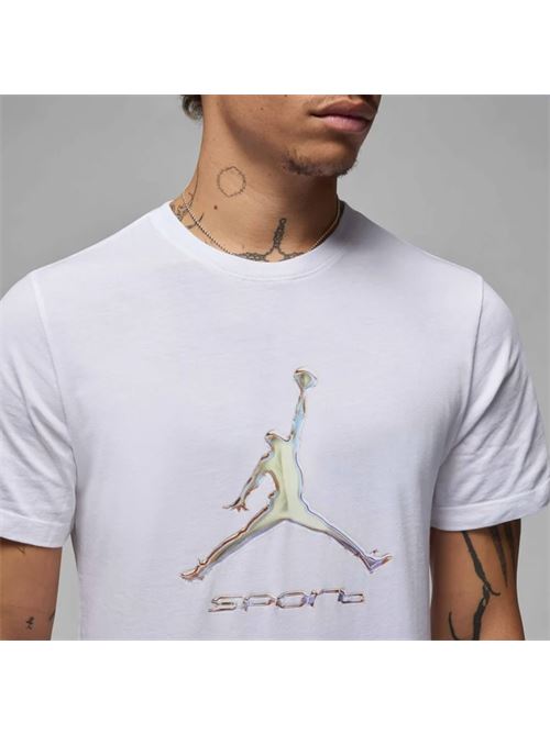 jordan sport men's dri-fit JORDAN | HQ7984100