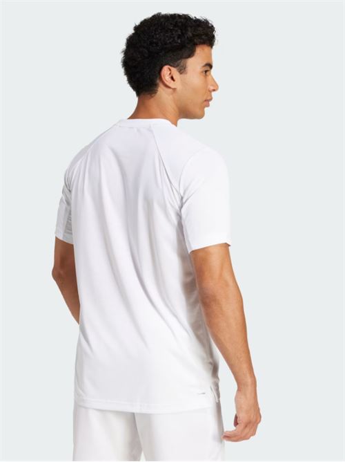 club tee ADIDAS | JD8639WHITE