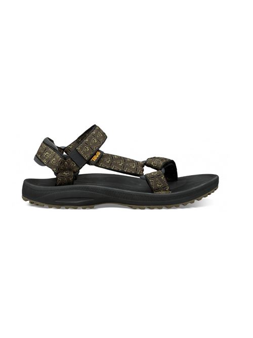 winsted m TEVA | TE.1017419BDOLV