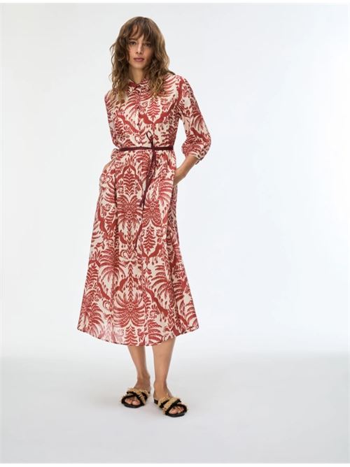 salmo IBLUES | 2617221252200004