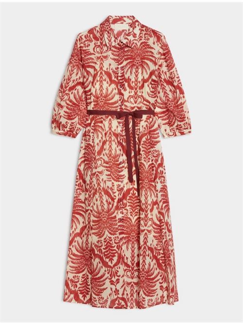 salmo IBLUES | 2617221252200004