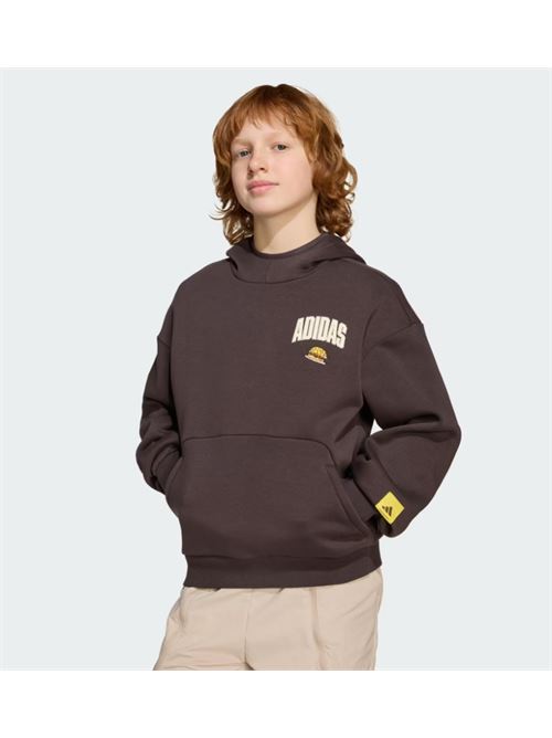 j sim hd ADIDAS | JL9181NBROWN