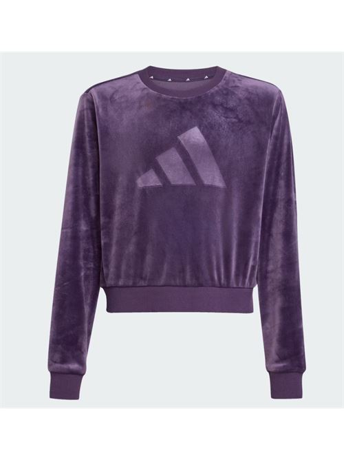 jg hld c swt ADIDAS | JW2437AURPLU