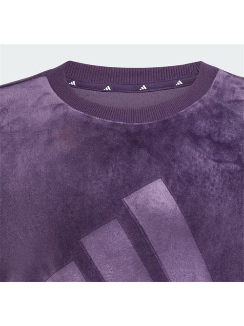 jg hld c swt ADIDAS | JW2437AURPLU