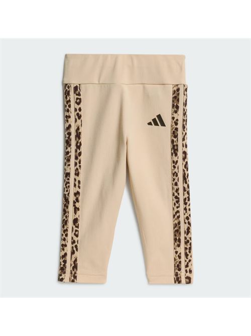 ig an 3s set ADIDAS | KC9644CRLI/MULTCO/DBROWN
