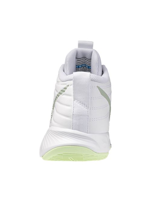 shoe wave moment pro MIZUNO | V1GC254585