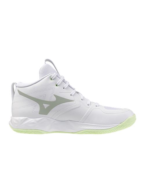 shoe wave moment pro MIZUNO | V1GC254585