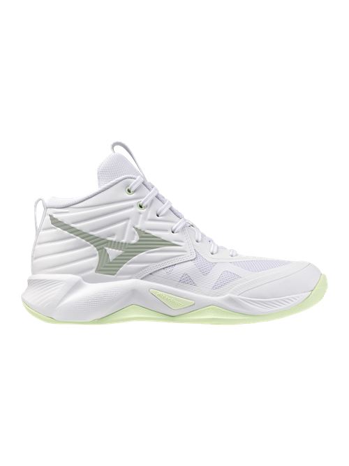 shoe wave moment pro MIZUNO | V1GC254585