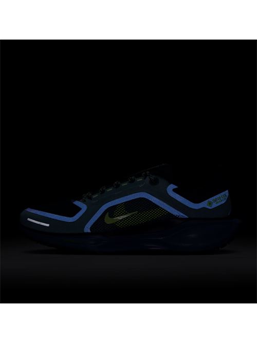 pegasus 41 gore tex NIKE | FQ1356006